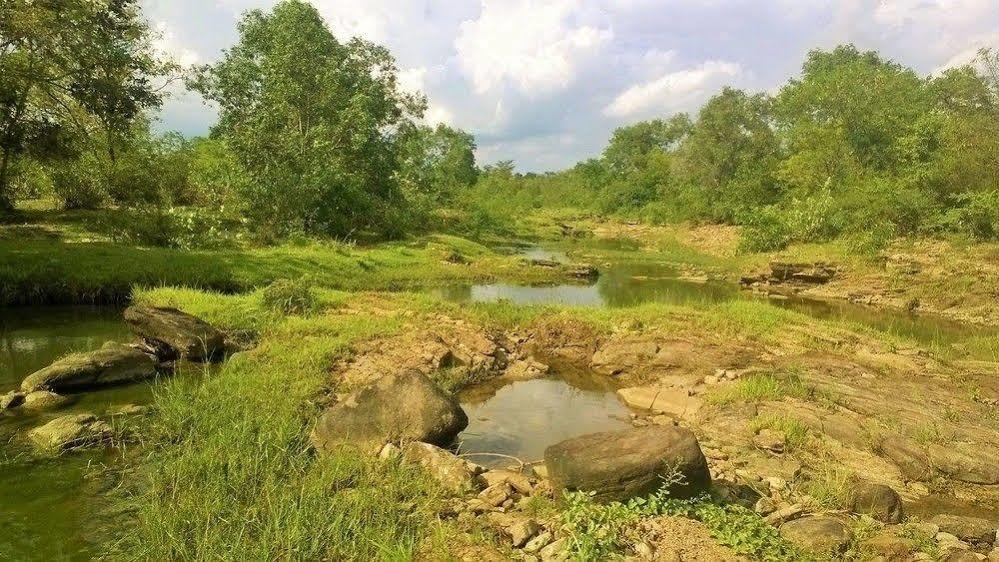 Kula Kula Luxury Camping Resort Udawalawe Dış mekan fotoğraf