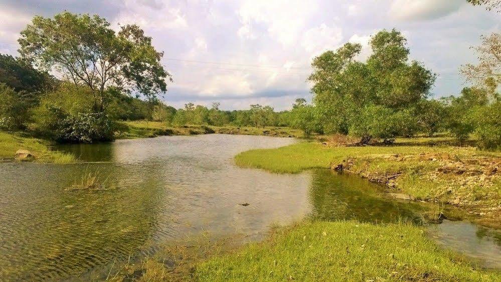 Kula Kula Luxury Camping Resort Udawalawe Dış mekan fotoğraf