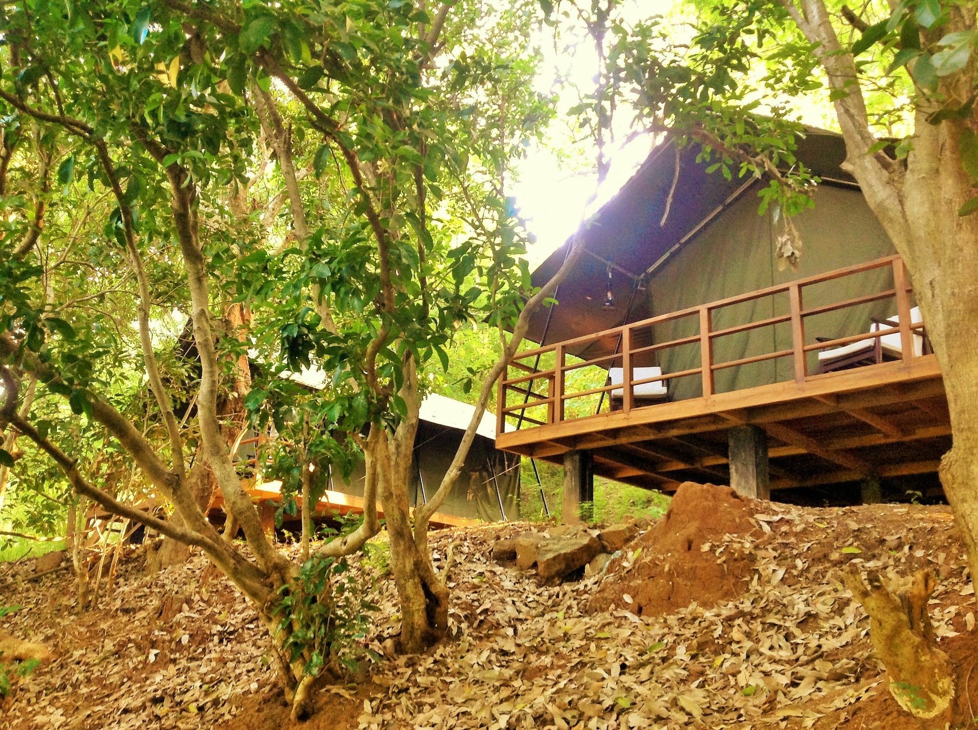 Kula Kula Luxury Camping Resort Udawalawe Dış mekan fotoğraf